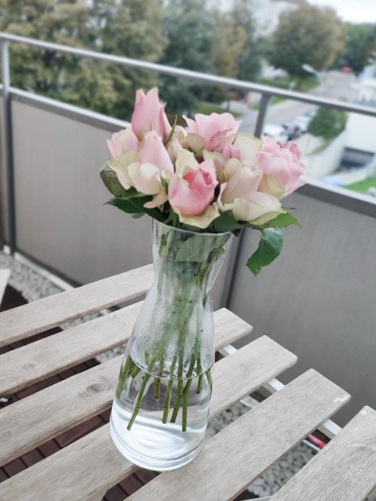 אינגולשטאט Business & Leisure Apartment מראה חיצוני תמונה